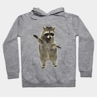 Dancing trash panda Hoodie